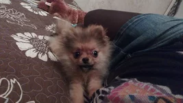 12030024.webp