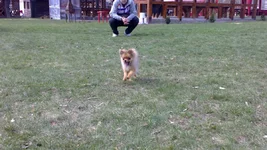12040042.webp