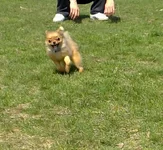 12040033_1.webp
