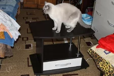image3.webp