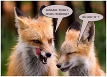 1233674850_a_7.webp