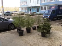 17042012313.webp