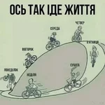 506817211_1680178.webp