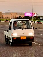 IMG_9130.jpeg