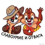 6584204_800.webp