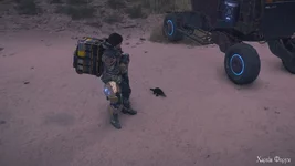 DEATH STRANDING 2_ ON THE BEACH_20250628190543_.jpg