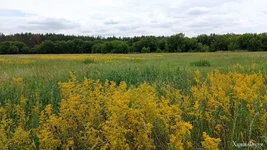 IMG_20250628_113456.jpg
