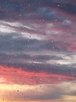 IMG_20250630_205442.webp