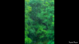 Снимок экрана 2025-07-04 в 09.08.33.png