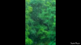  экрана 2025-07-04 в 09.08.33.webp