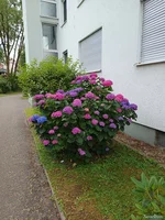 IMG_20250707_130125.webp