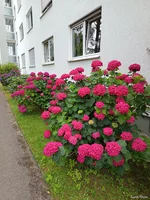 IMG_20250707_130104.webp