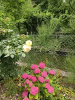 IMG_20250707_130035.webp