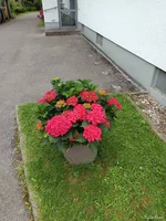 IMG_20250707_130015.webp