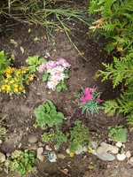 IMG_20250707_125906.webp