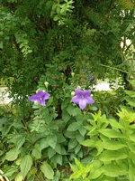 IMG_20250707_125822.webp