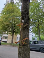 IMG_20250708_175420.webp