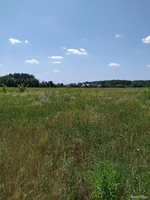 IMG_20190618_122624.jpg