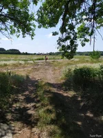 IMG_20190618_123112.webp