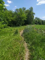 IMG_20190618_124039.webp