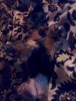 IMG0303A.webp