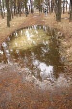 IMG_1106.JPG