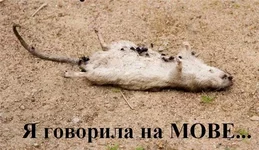 5adaf78845bc.webp