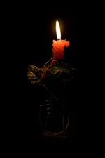 1-IMG_6724-1.webp