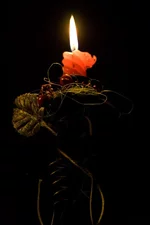 1-IMG_6728.webp