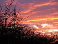IMG_2341.webp