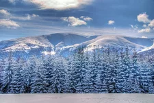 6563_2___1_tonemapped_.jpg