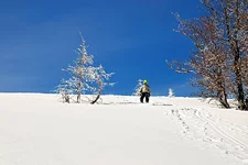 DSC_6591_.jpg