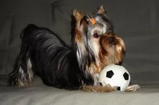 DSC03313_resize.webp