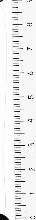 crop0003_grey_80.jpg