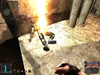 ss_tolik_02-27-08_22-57-18_(l08u_brainlab).jpg