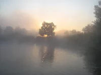  169.webp