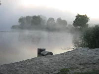  162.webp