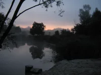  158.webp