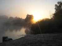  167.webp