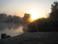  165.webp