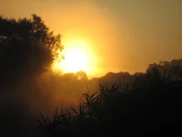  164.webp