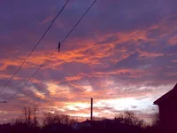 23022008193.webp