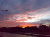 23022008195.webp