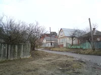 DSC00729.webp