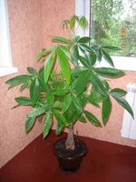DSC03578.webp
