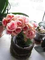 IMG_1775.webp
