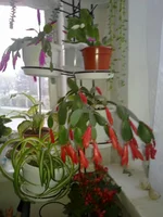 22042010276.webp