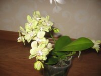 IMG_0496.jpg IMG_0496.jpg