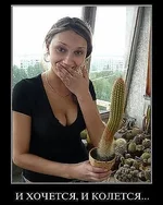 getImage81.webp