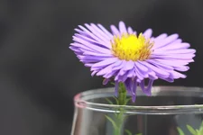 017.webp